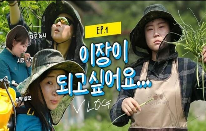 MBC충북 유튜브 브이로그